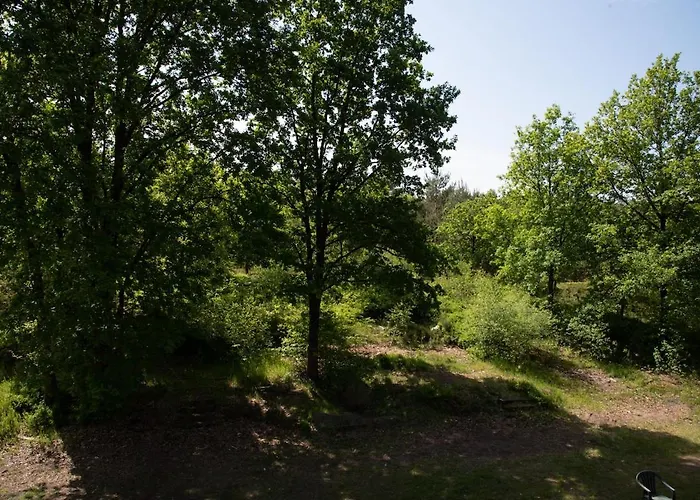 Heideparadies
